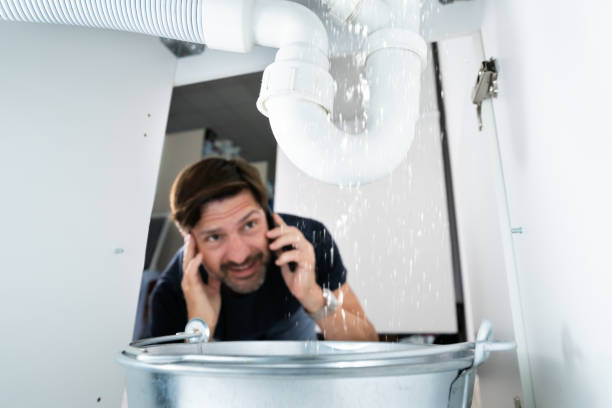Best Boilers & Radiators  in Lake Bluff, IL